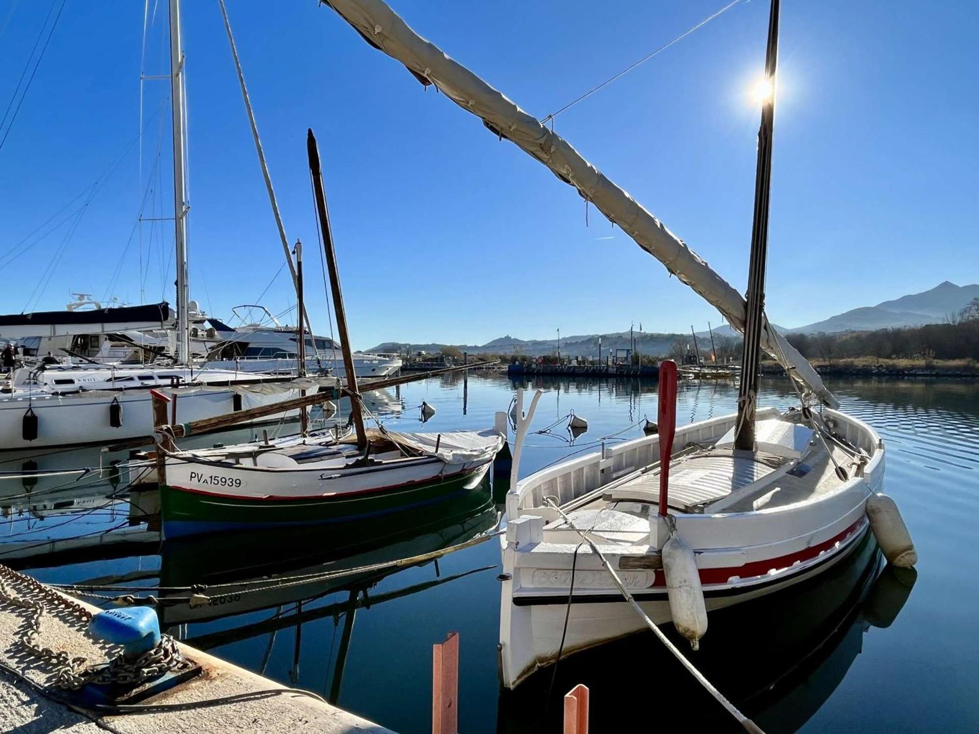 Appartement Familial 2 Pieces, Proche Plage, Garage, Loggia - Argeles-Sur-Mer - Fr-1-225-464 Exteriör bild